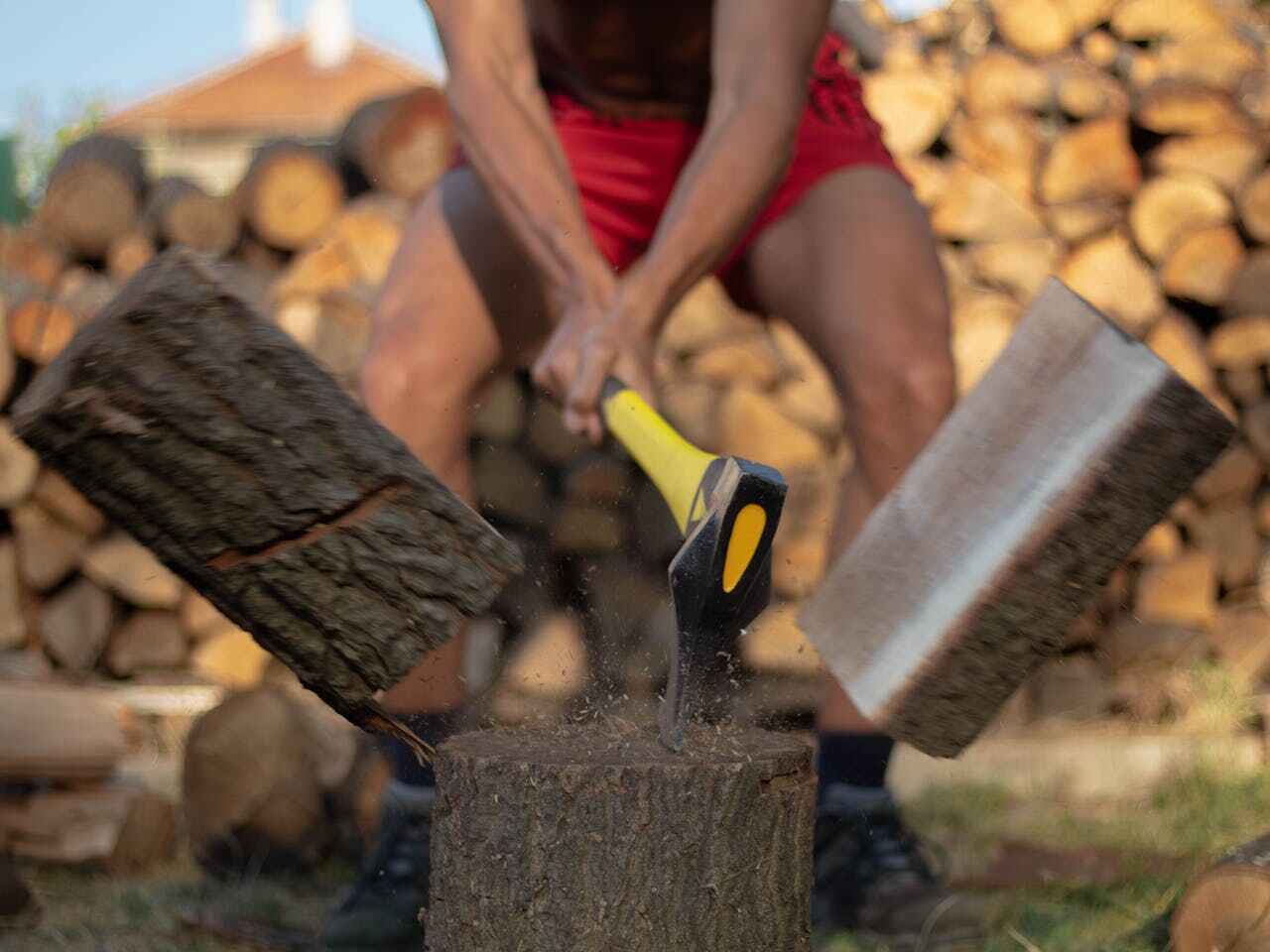 Best Tree Removal Near Me  in USA